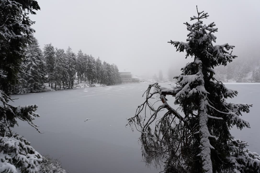 Am dunklen Wasser: Geheimnisse des Mummelsees